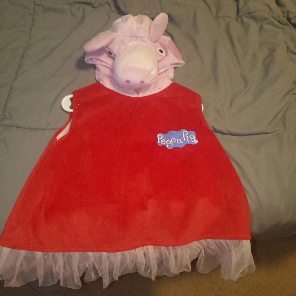 Peppa pig toddler costume.  2T